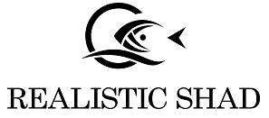 Realistic Shad